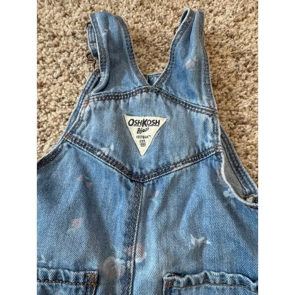 OshKosh B'gosh Overalls, size 6-9 Mos; floral print; Blue & Pink